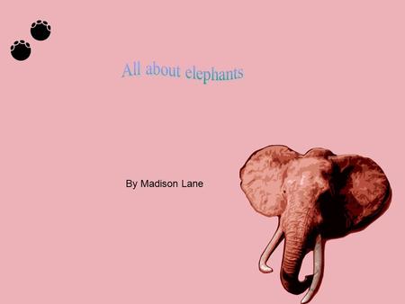 By Madison Lane. Welcome home Elephants sometimes live Africa were it is very hot. The elephant lives in a place that has some water. Elephants homes.