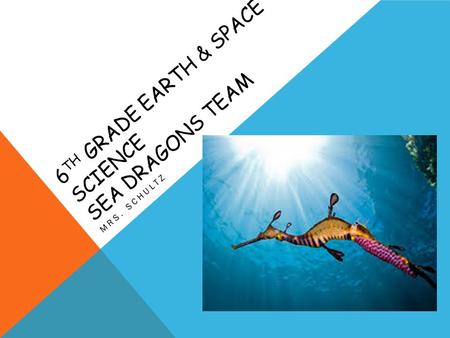 6 TH GRADE EARTH & SPACE SCIENCE SEA DRAGONS TEAM MRS. SCHULTZ.