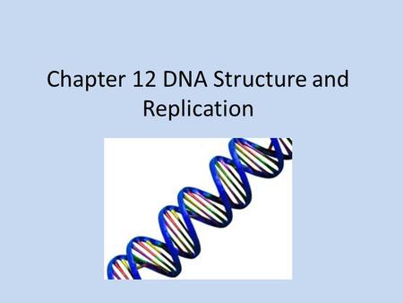 Chapter 12 DNA Structure and Replication. Transformation Changes one form of bacteria into a different or some cases toxic form of bacteria EX: Griffith’s.