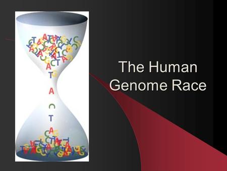 The Human Genome Race. Collins vs. Venter Collins Venter.