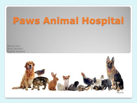 Paws Animal Hospital Aimee Gum Ikran Ibrahim Angela Seebold Maxisms.