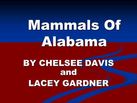 Mammals Of Alabama BY CHELSEE DAVIS and LACEY GARDNER.