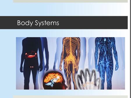 Body Systems. All living things…………….  Made of cells  Need energy  Respond to the environment  Reproduce  Grow and develop.
