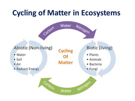 Cycling of Matter in Ecosystems. Recycling Matter All life on Earth requires water and nutrients These particles of matter don’t remain in your body forever.
