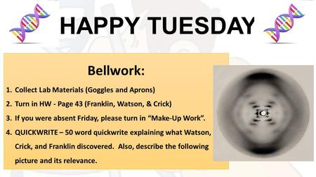 HAPPY TUESDAY Bellwork: 1.Collect Lab Materials (Goggles and Aprons) 2.Turn in HW - Page 43 (Franklin, Watson, & Crick) 3.If you were absent Friday, please.