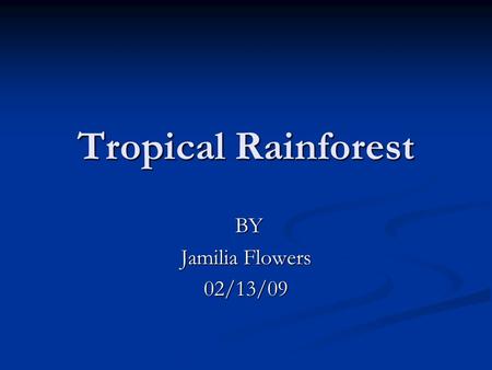 Tropical Rainforest BY Jamilia Flowers 02/13/09.