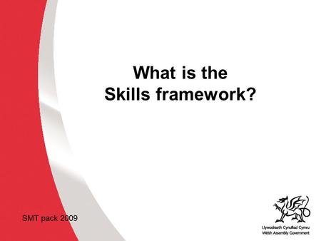 What is the Skills framework?