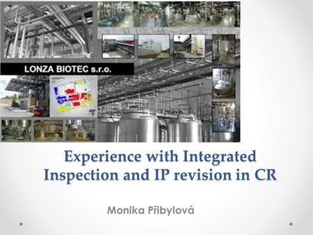 Experience with Integrated Inspection and IP revision in CR Monika Přibylová.
