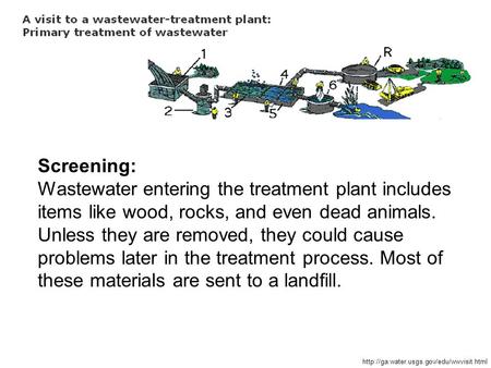 Screening: Wastewater entering the treatment plant includes items like wood, rocks, and even dead animals. Unless they are removed, they could cause problems.