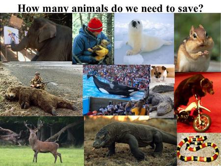 How many animals do we need to save?. How Many Animals Do We Want to Save?  The Many Ways of Setting Population Target Levels for Conservation ERIC W.  - ppt download