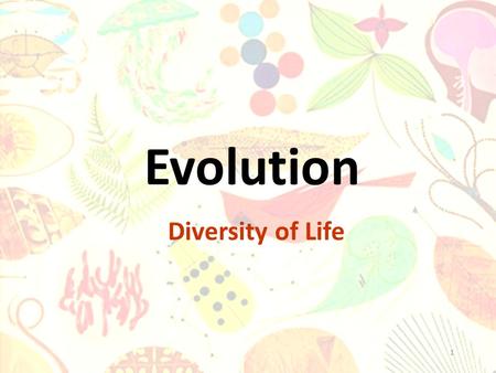 1 Evolution Diversity of Life. Charles Darwin (1800’s) was an English naturalist who developed the theory of evolution by natural selection. This theory.