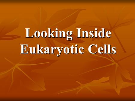 Looking Inside Eukaryotic Cells PARTS OF A CELL “PARTS OF A CITY”