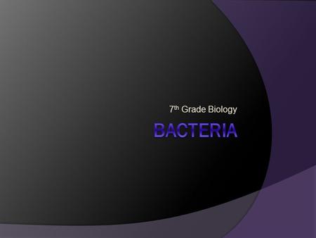 7 th Grade Biology. Obtaining Food  Bacteria must have a source of food and a way of breaking down the food to release energy.  Some bacteria are autotrophs.