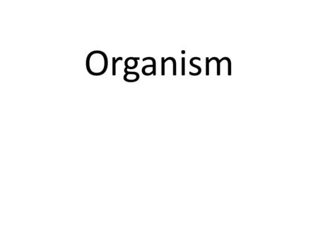 Organism. An individual animal, plant, or single- celled life form.