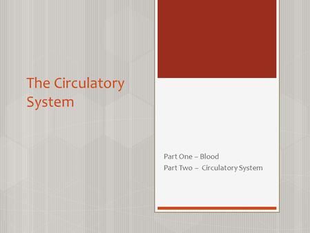 The Circulatory System Part One – Blood Part Two – Circulatory System.