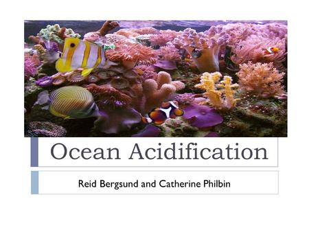 Ocean Acidification Reid Bergsund and Catherine Philbin