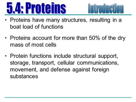 5.4: Proteins Introduction
