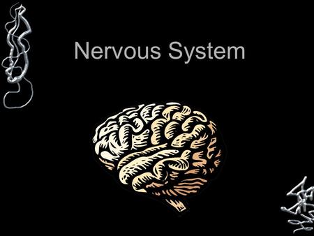 Nervous System. NERVOUS SYSTEM Two Parts Central (CNS) Peripheral (PNS)