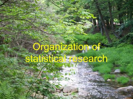 Organization of statistical research. The role of Biostatisticians Biostatisticians play essential roles in designing studies, analyzing data and.