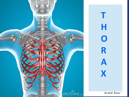 T H O R A X 1 dr med. Šarac.