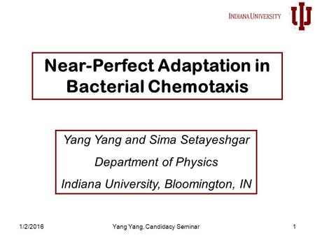 1/2/2016Yang Yang, Candidacy Seminar1 Near-Perfect Adaptation in Bacterial Chemotaxis Yang Yang and Sima Setayeshgar Department of Physics Indiana University,