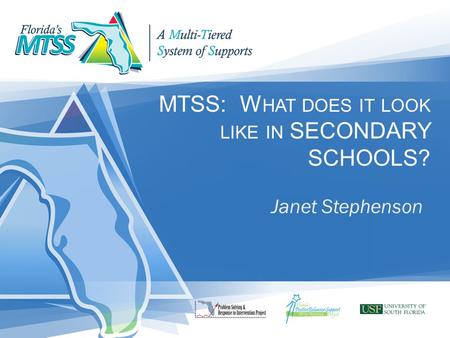 MTSS: W HAT DOES IT LOOK LIKE IN SECONDARY SCHOOLS? Janet Stephenson.
