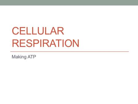 CELLULAR RESPIRATION Making ATP. The Purpose Convert the energy in organic molecules into a usable form (ATP) ATP can then be used for work.