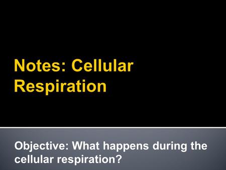 Objective: What happens during the cellular respiration?