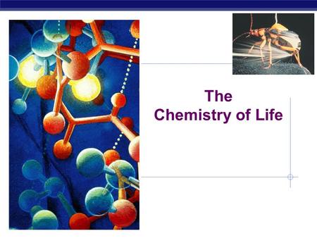 The Chemistry of Life Why are we studying chemistry? Chemistry is the foundation of Biology.