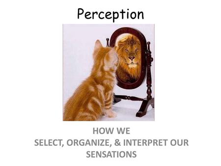 Perception HOW WE SELECT, ORGANIZE, & INTERPRET OUR SENSATIONS.