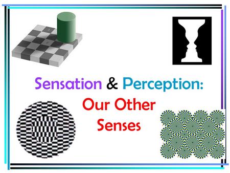 Sensation & Perception: Our Other Senses