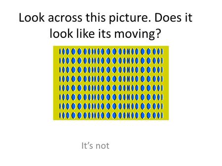Look across this picture. Does it look like its moving?