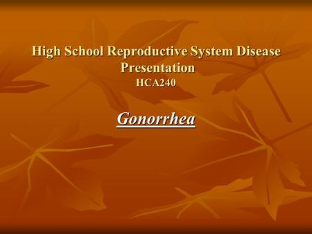 High School Reproductive System Disease Presentation HCA240 Gonorrhea.