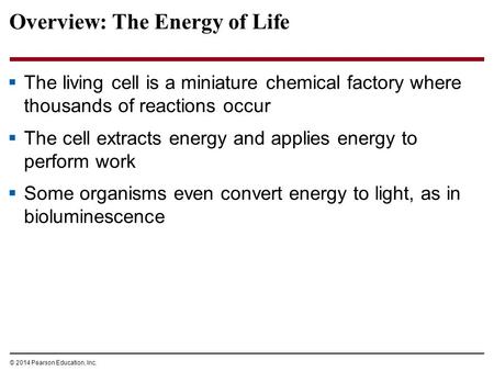 Overview: The Energy of Life  The living cell is a miniature chemical factory where thousands of reactions occur  The cell extracts energy and applies.