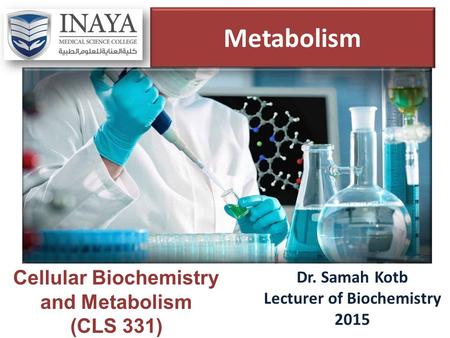 Metabolism Dr. Samah Kotb Lecturer of Biochemistry 2015 Cellular Biochemistry and Metabolism (CLS 331)