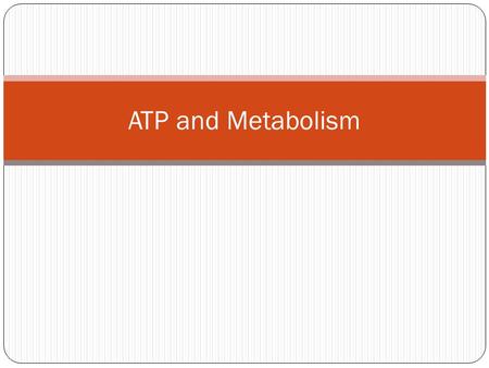 ATP and Metabolism. Metabolism Totality of an organism’s chemical reactions Pathway of defined steps beginning with a specific molecule resulting in a.