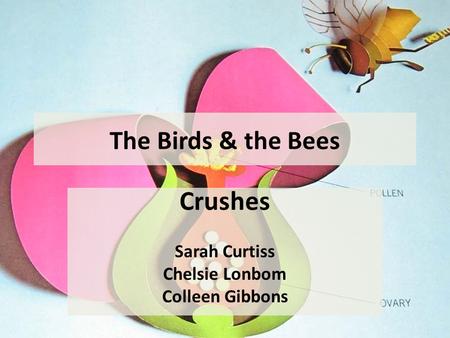 The Birds & the Bees Crushes Sarah Curtiss Chelsie Lonbom Colleen Gibbons.