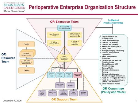 Perioperative Enterprise Organization Structure