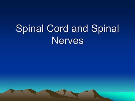 Spinal Cord and Spinal Nerves. Spinal Cord Enclosed in the vertebral canal, extends from the foramen magnum of the skull to the first or second lumbar.