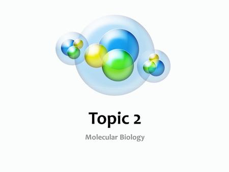 Topic 2 Molecular Biology. 2.5 Enzymes Why do enzymes increase the rate?