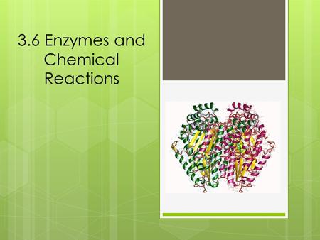 3.6 Enzymes and Chemical Reactions