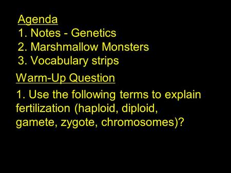 Agenda 1. Notes - Genetics 2. Marshmallow Monsters 3. Vocabulary strips Warm-Up Question 1. Use the following terms to explain fertilization (haploid,