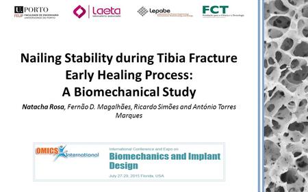 Nailing Stability during Tibia Fracture Early Healing Process: A Biomechanical Study Natacha Rosa, Fernão D. Magalhães, Ricardo Simões and António Torres.