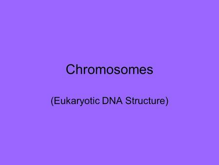 Chromosomes (Eukaryotic DNA Structure). When the cell is not dividing, DNA is long and stringy and called chromatin.