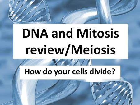DNA and Mitosis review/Meiosis How do your cells divide?