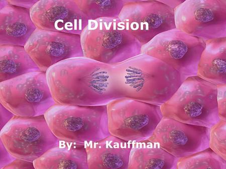 Cell Division By: Mr. Kauffman. Outline Cells Review What is cell division? The Cell Cycle Interphase Mitosis 4 Steps of Mitosis Results of Mitosis Meiosis.