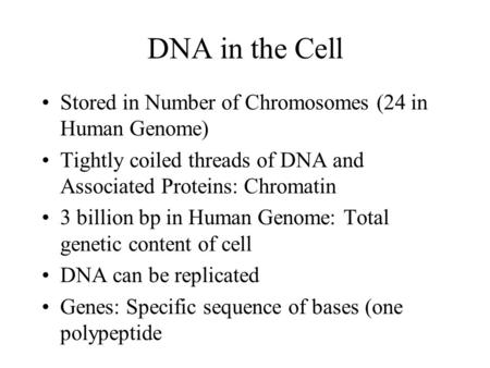 DNA in the Cell Stored in Number of Chromosomes (24 in Human Genome) Tightly coiled threads of DNA and Associated Proteins: Chromatin 3 billion bp in Human.