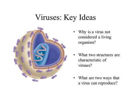 Viruses: Key Ideas Why is a virus not considered a living organism?