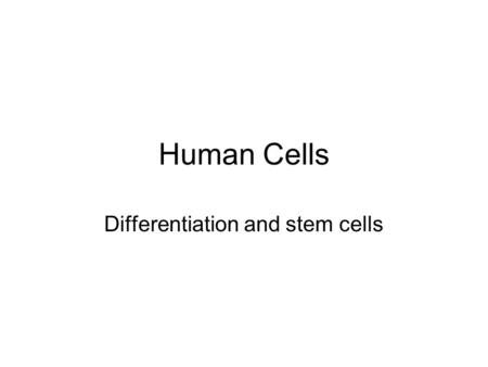Human Cells Differentiation and stem cells. Learning Intention: To learn about Human cell types Success Criteria: By the end of the lesson I should be.