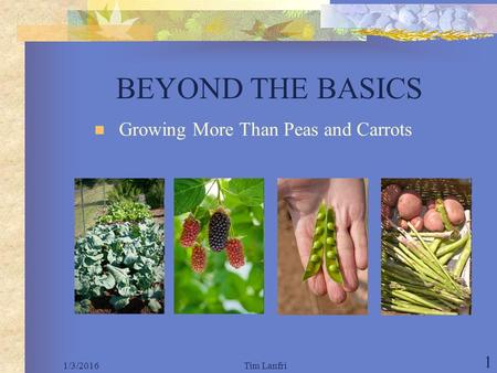 1/3/2016Tim Lanfri 1 BEYOND THE BASICS Growing More Than Peas and Carrots.